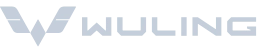 image footer wuling